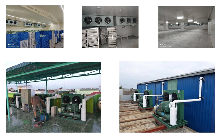 Cold Room Refrigeration Unit Cooling System Walk in Freezer Cold Storage Room